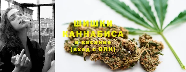 mdpv Осинники