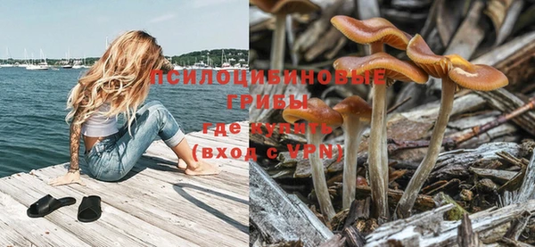 mdpv Осинники