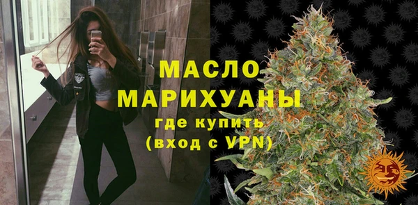 стаф Кедровый