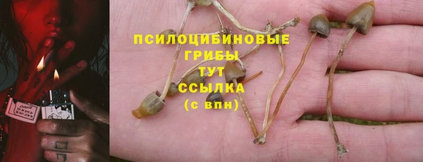 apvp Осташков
