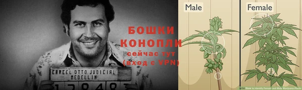 apvp Осташков