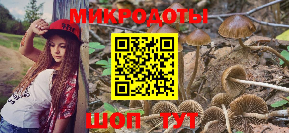 Псилоцибиновые грибы MAGIC MUSHROOMS  Черняховск 