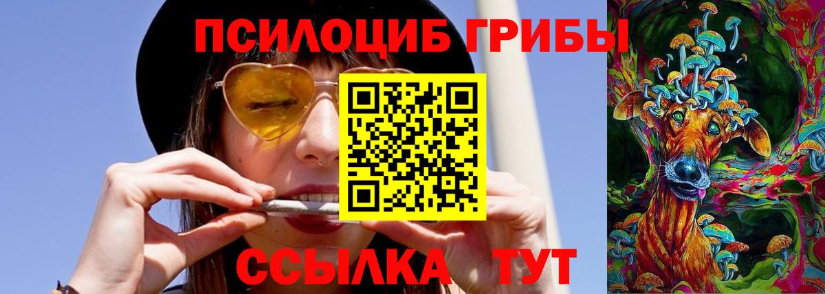 Галлюциногенные грибы ЛСД Черняховск