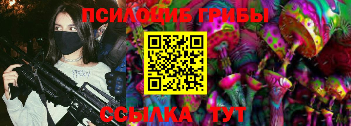 Галлюциногенные грибы ЛСД Черняховск