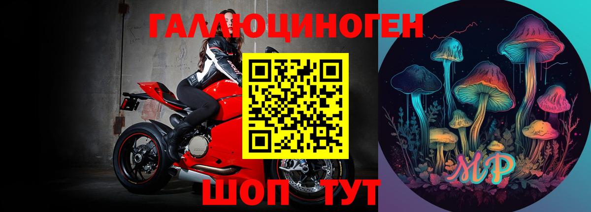 Черняховск  Галлюциногенные грибы MAGIC MUSHROOMS  Вход с VPN 